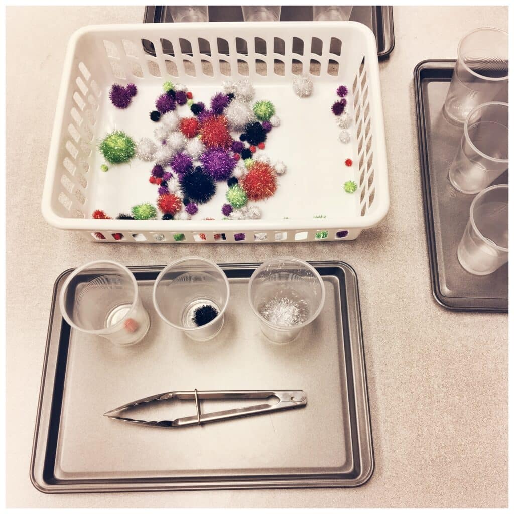 Sorting Pom Poms Fine Motor