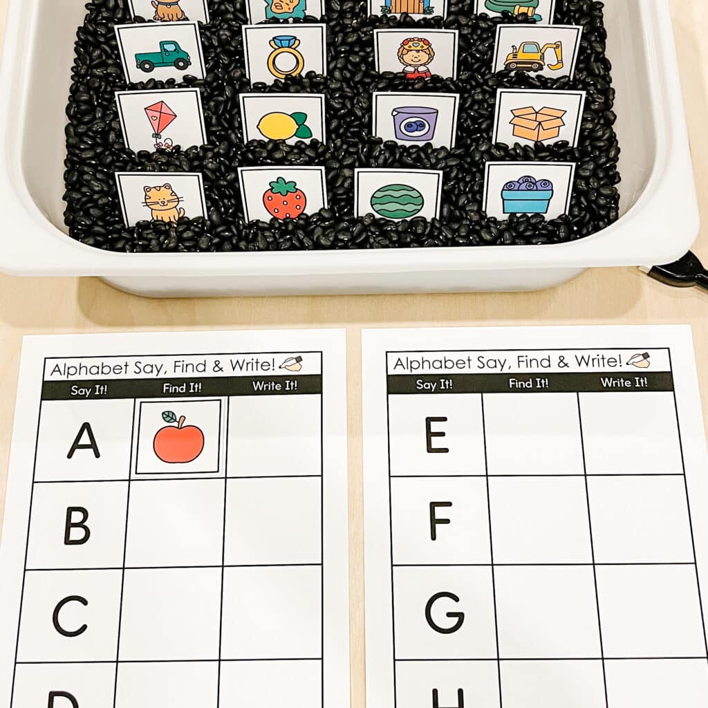 Say, Find and Write Alphabet Centre
