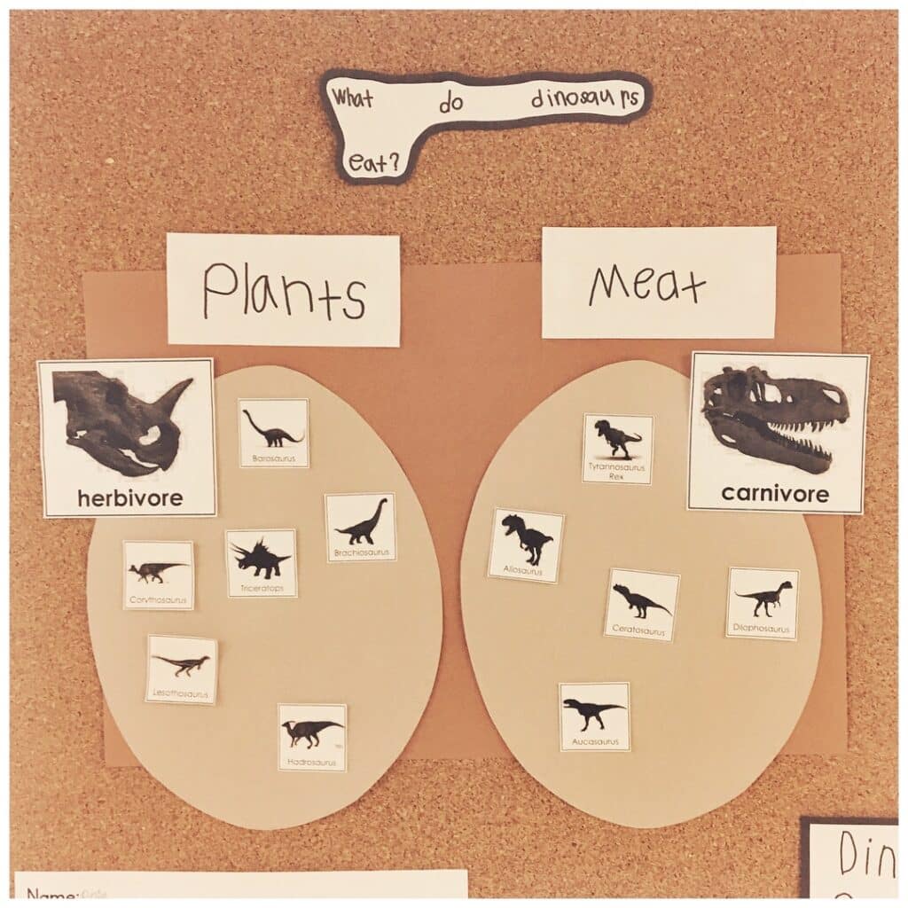 Dinosaur Herbivore or Carnivore Chart