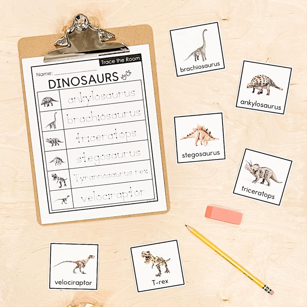 Dinosaur Trace the Room