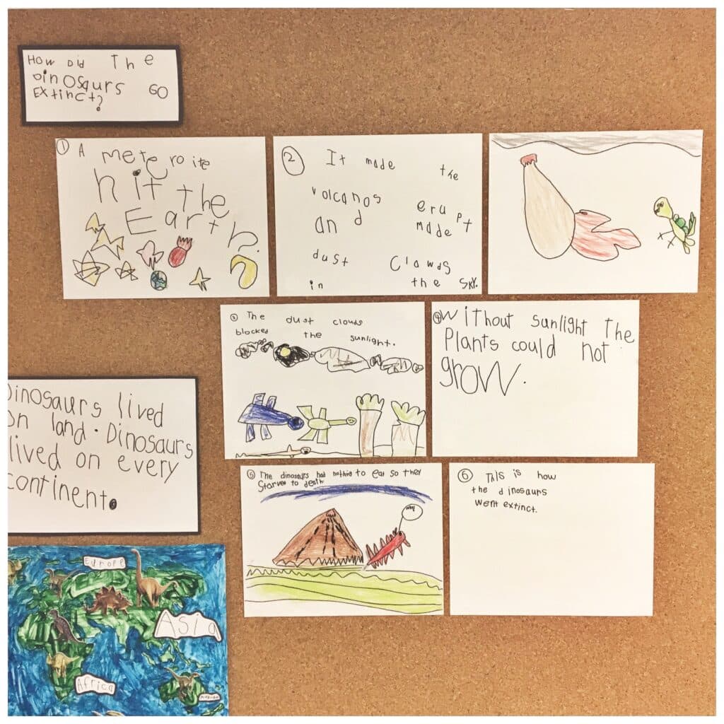 Why did the dinosaurs go extinct?