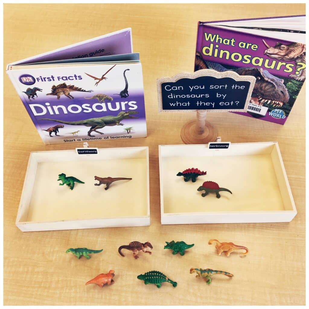 herbivore vs carnivore sort