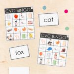 CVC BINGO