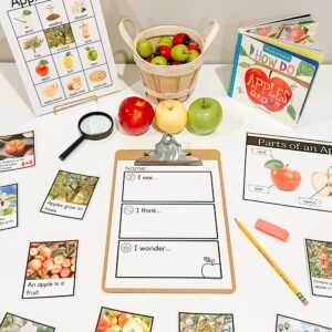 Apple Activities for Kindergarten - Inquiry Table Idea