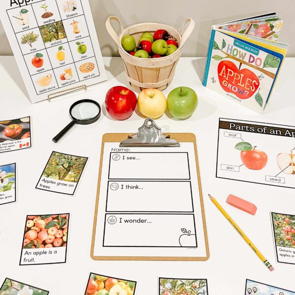 Apple Activities for Kindergarten - Inquiry Table Idea Apple Activities for Kindergarten - Inquiry Table Idea