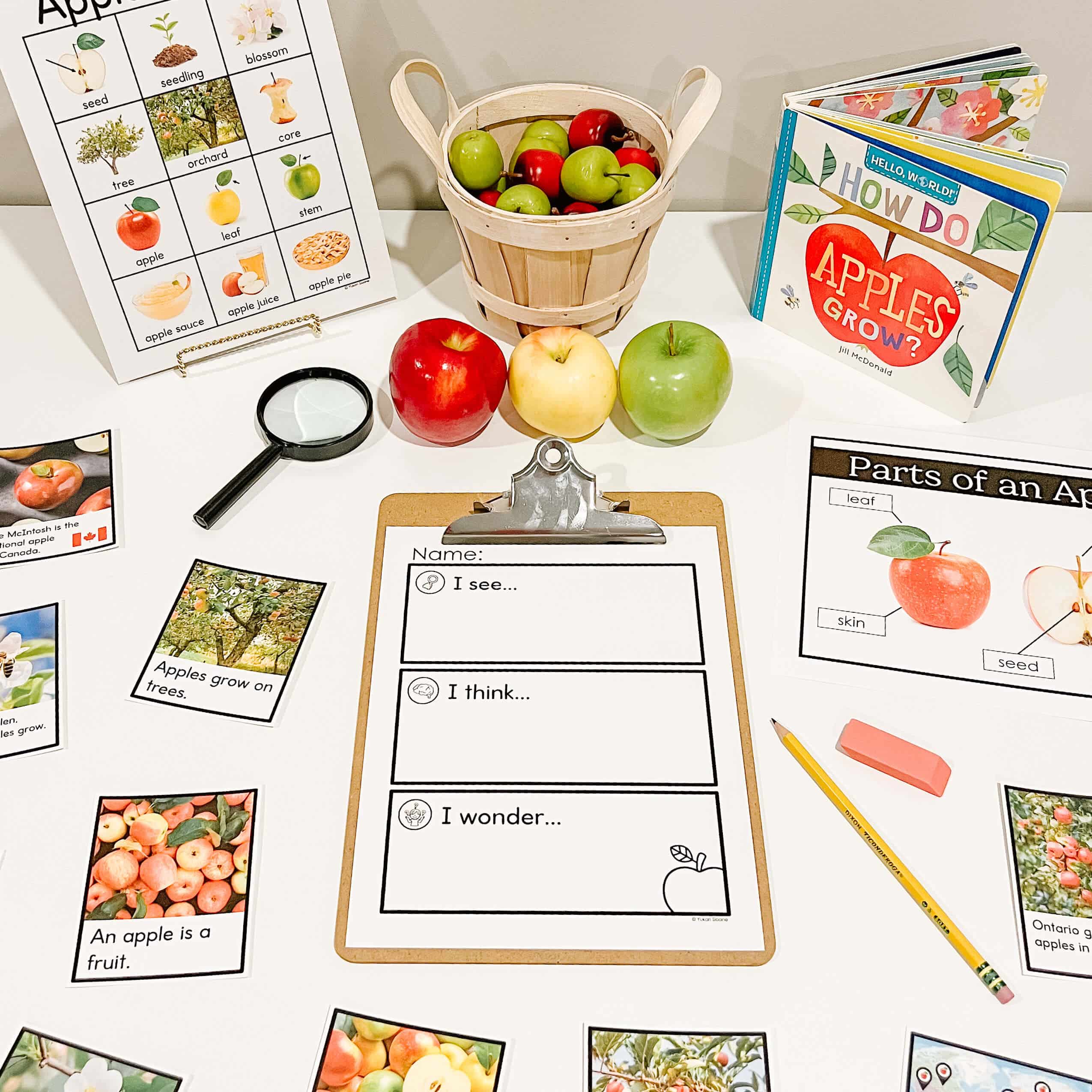 Apple Activities for Kindergarten - Inquiry Table Idea