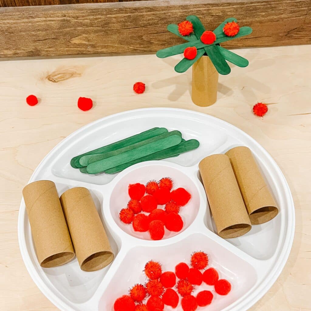 apple stem activity