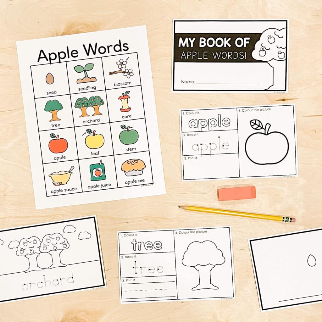 apple word chart and mini book