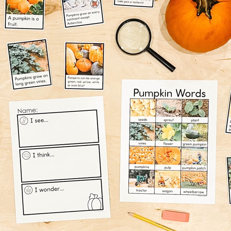 Pumpkin Activities for Kindergarten