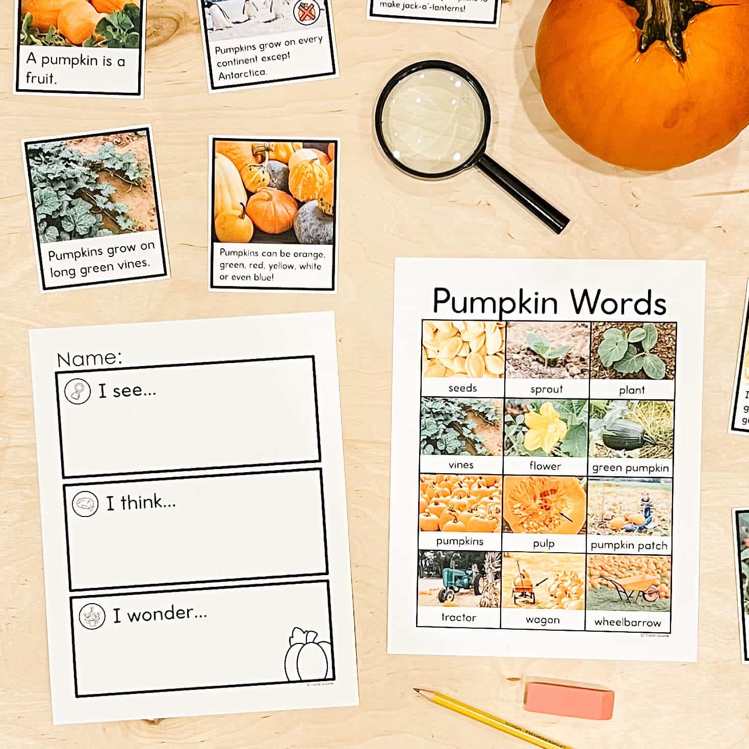 Pumpkin Activities for Kindergarten