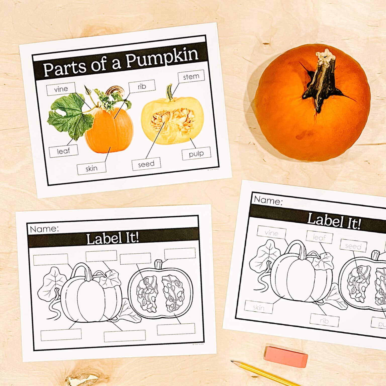 16 Fun and Engaging Pumpkin Activities for Kindergarten