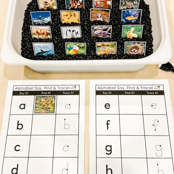 Alphabet Say It Find It Write It 3 Alphabet Say It Find It Write It 3