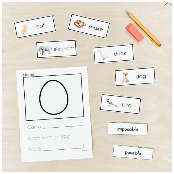 Probability Egg Writing Probability Egg Writing