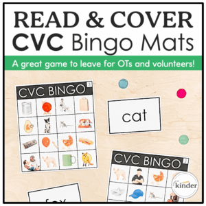 Read & Cover CVC Bingo Game Cover