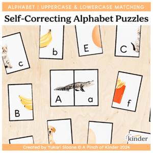 Self Correcting Alphabet Puzzles Cover