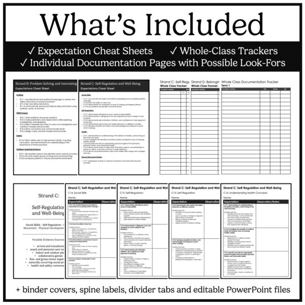 Ontario Kindergarten Assessment & Documentation Binder for Strands B, C & D Preview 1 Ontario Kindergarten Assessment & Documentation Binder for Strands B, C & D Preview 1